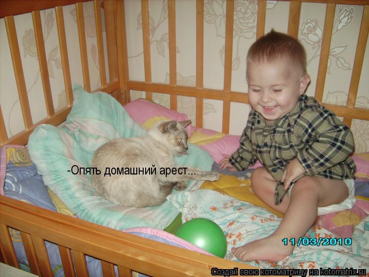 Котоматрица: -Опять домашний арест...