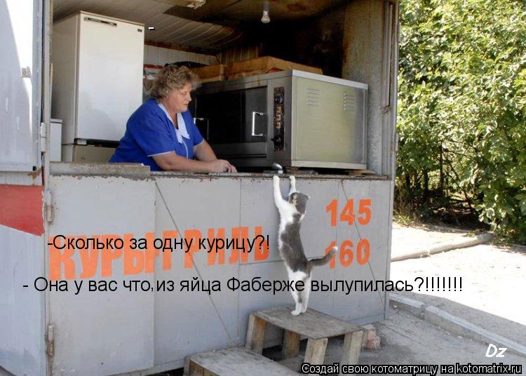 - - Она у вас что из яйца Фаберже вылупилась?!!!!!!! -Сколько за одну курицу?! ,... Котоматрица: - - Она у вас что из яйца Фаберже вылупилась?!!!!!!! -Сколько за одну курицу?! ,