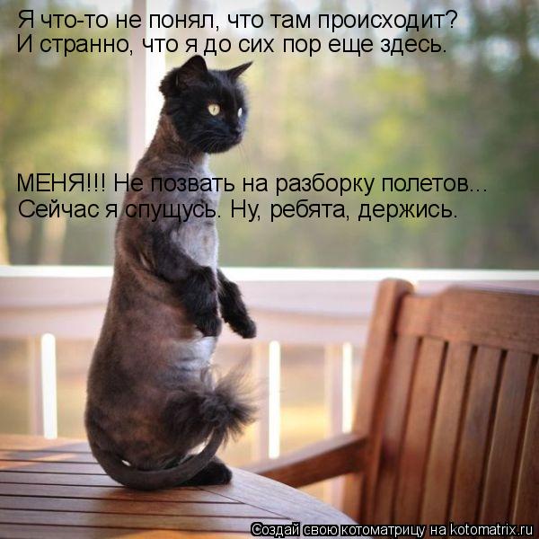 Котоматрица: Я что-то не понял, что там происходит? И странно, что я до сих пор еще здесь. МЕНЯ!!! Не позвать на разборку полетов... Сейчас я спущусь. Ну, ребят