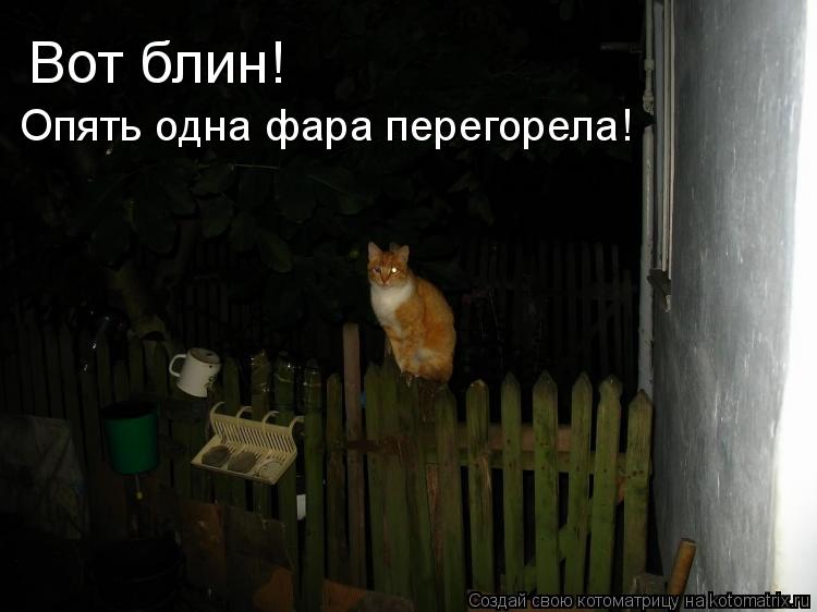 Котоматрица: Вот блин! Опять одна фара перегорела!
