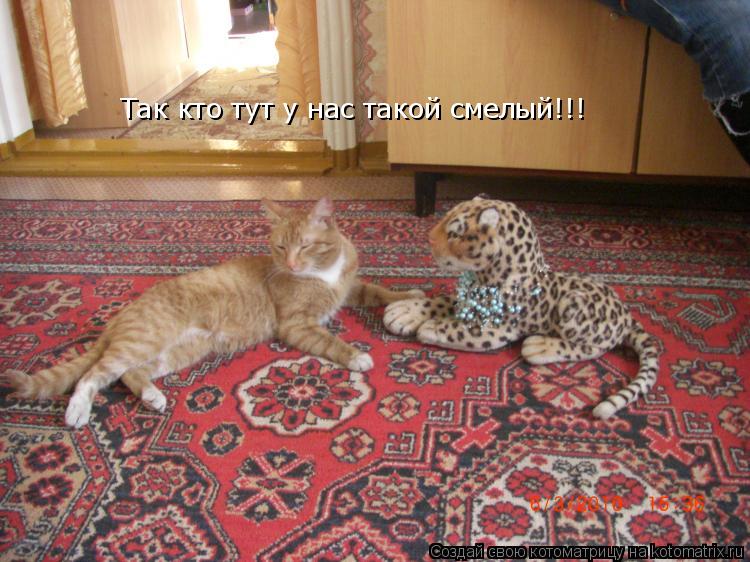 Котоматрица: Так кто тут у нас такой смелый!!!