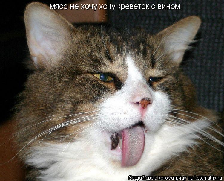 Котоматрица: мясо не хочу хочу креветок с вином