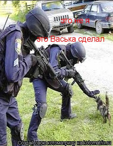 Котоматрица: это не я это Васька сделал