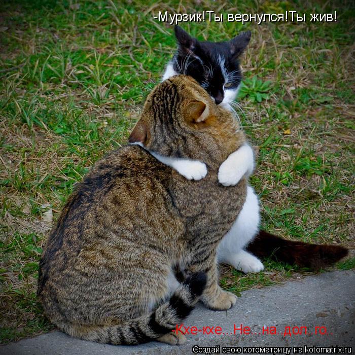 Котоматрица: -Мурзик!Ты вернулся!Ты жив! -Кхе-кхе...Не...на..дол..го..