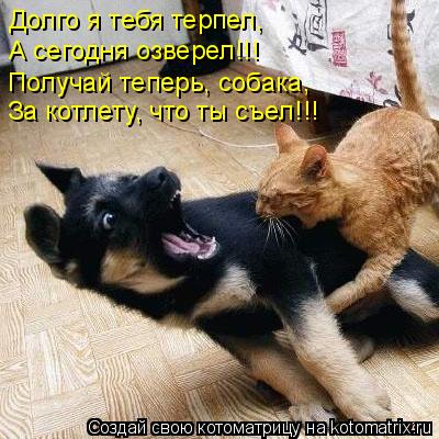 За котлету, что ты съел!!! Получай теперь, собака, А сегодня озверел!!! Долго я тебя терпел,... Котоматрица: За котлету, что ты съел!!! Получай теперь, собака, А сегодня озверел!!! Долго я тебя терпел,