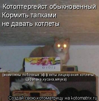 Котоматрица: Котолтергейст обыкновенный Кормить тапками не давать котлеты (возможны побочные эффекты лицезрения котлеты: царапака,кусака,мяука)