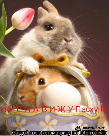 Котоматрица: я Н-Е-Н-А-В-И-Ж-У Пасху!!!!