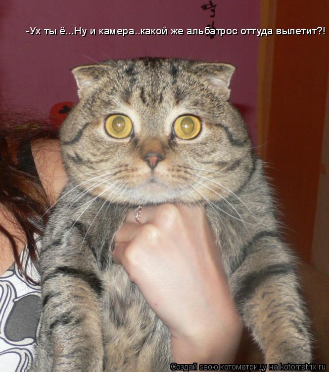 Котоматрица: -Ух ты ё...Ну и камера..какой же альбатрос оттуда вылетит?!