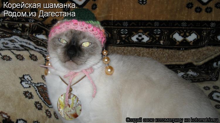 Корейская шаманка. Родом из Дагестана... Котоматрица: Корейская шаманка. Родом из Дагестана