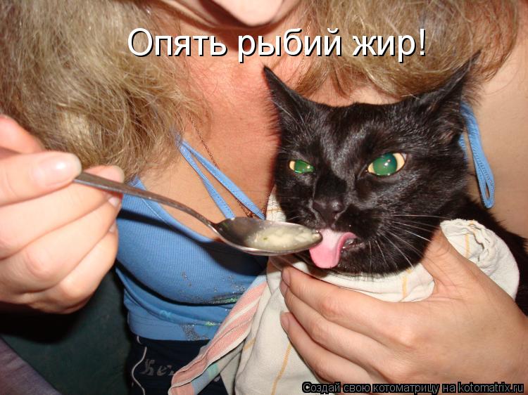 Опять рыбий жир!... Котоматрица: Опять рыбий жир!