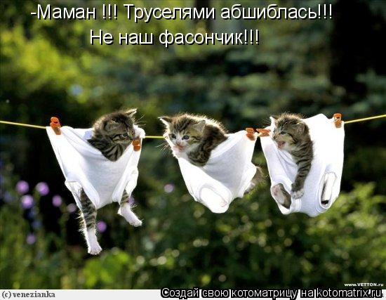 -Маман !!! Труселями абшиблась!!! Не наш фасончик!!!... Котоматрица: -Маман !!! Труселями абшиблась!!! Не наш фасончик!!!