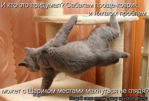 И кто это придумал? Сабакам проще-коврик, и никаких проблем... С Шариком чтоль махнуться неглядя? И к... Котоматрица: И кто это придумал? Сабакам проще-коврик, и никаких проблем... С Шариком чтоль махнуться неглядя? И кто это придумал? Сабакам проще-коврик, и
