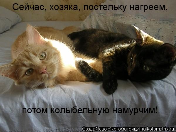 Сейчас, хозяка, постельку нагреем, потом колыбельную намурчим!... Котоматрица: Сейчас, хозяка, постельку нагреем, потом колыбельную намурчим!