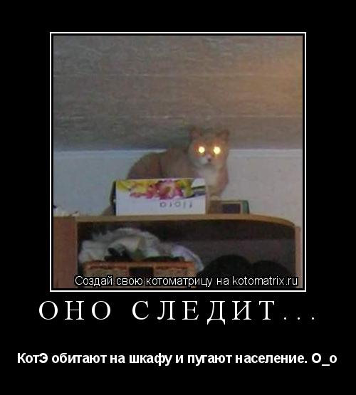 Котоматрица: Оно следит... КотЭ обитают на шкафу и пугают население. О_о