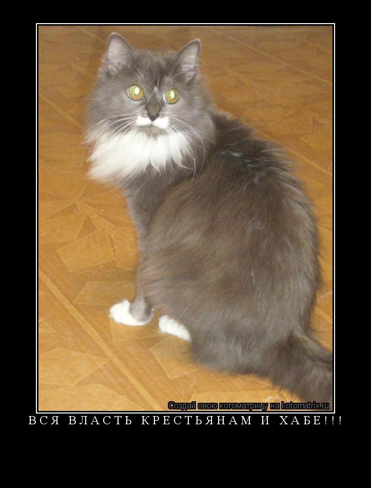 Котоматрица: ВСЯ ВЛАСТЬ крестьянам И ХАБЕ!!! 
