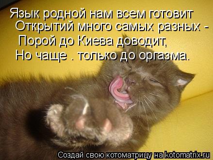 Язык родной нам всем готовит Открытий много самых разных - Порой до Киева доводит, Но... Котоматрица: Язык родной нам всем готовит Открытий много самых разных - Порой до Киева доводит, Но чаще – только до оргазма…