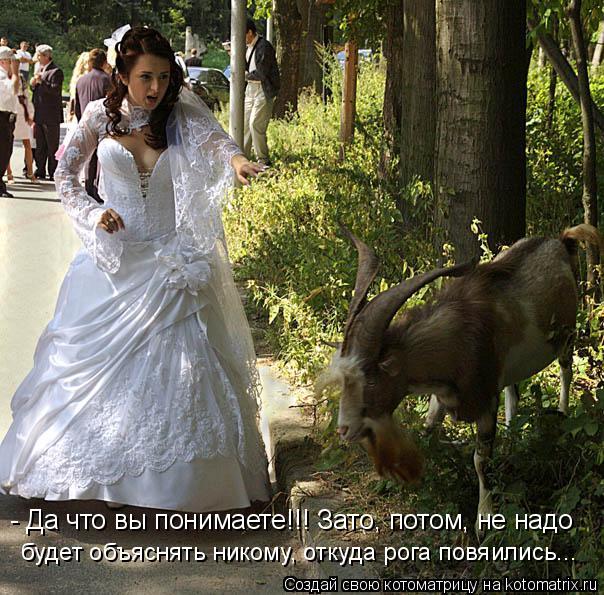 - Да что вы понимаете!!! Зато, потом, не надо будет объяснять никому, откуда рога повяились...... Котоматрица: - Да что вы понимаете!!! Зато, потом, не надо будет объяснять никому, откуда рога повяились...