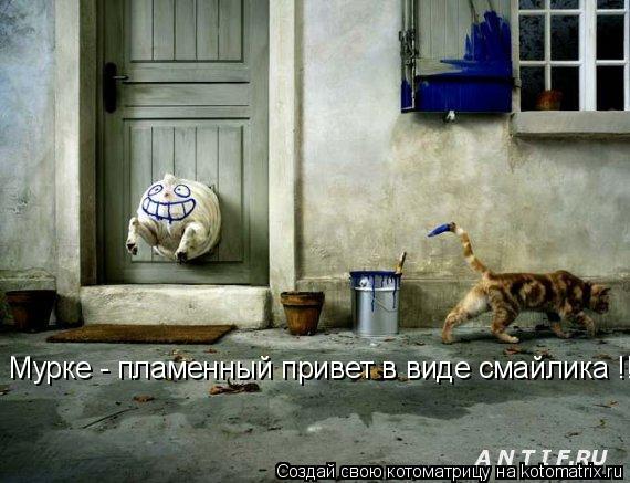 Мурке - пламенный привет в виде смайлика !!!... Котоматрица: Мурке - пламенный привет в виде смайлика !!!