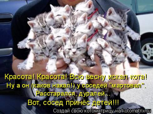Красота! Красота! Всю весну искал кота! Ну а он (каков нахал!) у соседей "мартовал". Расстарался, дур... Котоматрица: Красота! Красота! Всю весну искал кота! Ну а он (каков нахал!) у соседей "мартовал". Расстарался, дуралей... Вот, сосед принёс детей!!!