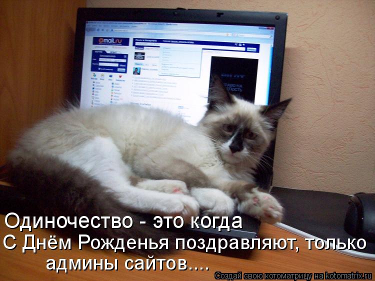 Одиночество - это когда С Днём Рожденья поздравляют, только админы сайтов....... Котоматрица: Одиночество - это когда С Днём Рожденья поздравляют, только админы сайтов....