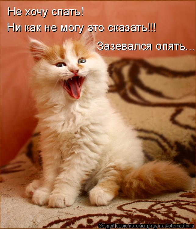 Котоматрица: Не хочу спать! Ни как не могу это сказать!!! Зазевался опять...