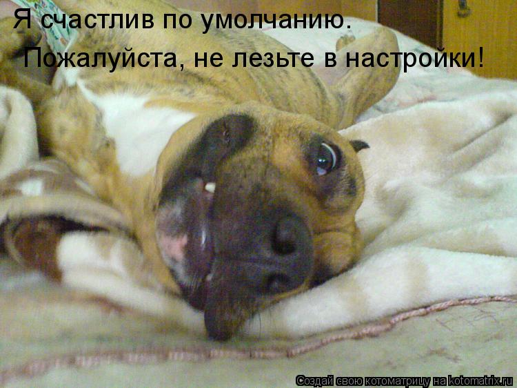 Я счастлив по умолчанию. Пожалуйста, не лезьте в настройки!... Котоматрица: Я счастлив по умолчанию. Пожалуйста, не лезьте в настройки!