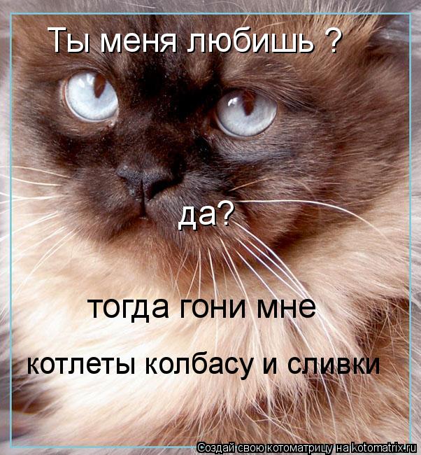 Ты меня любишь ? да? тогда гони мне котлеты колбасу и сливки... Котоматрица: Ты меня любишь ? да? тогда гони мне котлеты колбасу и сливки