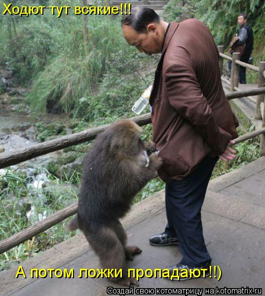 Ходют тут всякие!!! А потом ложки пропадают!!)... Котоматрица: Ходют тут всякие!!! А потом ложки пропадают!!)