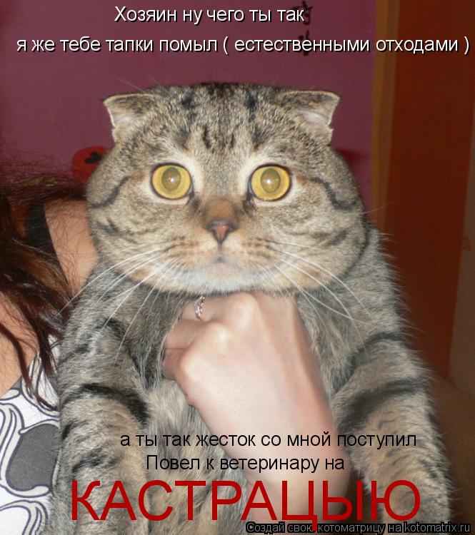 Хозяин ну чего ты так я же тебе тапки помыл ( естественными отходами ) а ты так жесток со мной поступ... Котоматрица: Хозяин ну чего ты так я же тебе тапки помыл ( естественными отходами ) а ты так жесток со мной поступил Повел к ветеринару на КАСТРАЦЫЮ