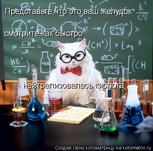 Представьте,что это ваш желудок смотрите,как быстро нейтрализовалась кислота... Котоматрица: Представьте,что это ваш желудок смотрите,как быстро нейтрализовалась кислота