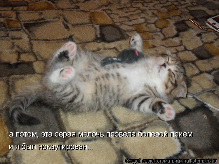 а потом, эта серая мелочь провела болевой прием и я был нокаутирован...... Котоматрица: а потом, эта серая мелочь провела болевой прием и я был нокаутирован...