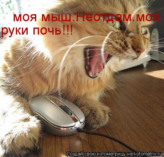 Котоматрица: моя мыш.Неотдам.моя  руки почь!!!