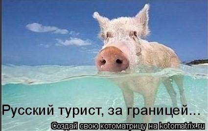 Русский турист, за границей...... Котоматрица: Русский турист, за границей...