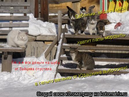 Котоматрица: Ой, а я все деньги на шубу  от Зайцева спустила... Хватит лапы морозить-  в сельпо валенки от Юдашкина выбросили! Бабоньки, айда за мной!