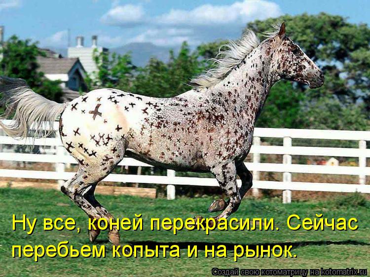 Котоматрица: Ну все, коней перекрасили. Сейчас перебьем копыта и на рынок.