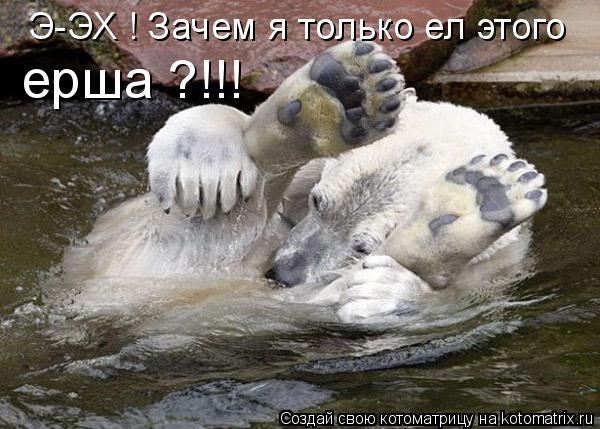 Э-ЭХ ! Зачем я только ел этого ерша ?!!!... Котоматрица: Э-ЭХ ! Зачем я только ел этого ерша ?!!!