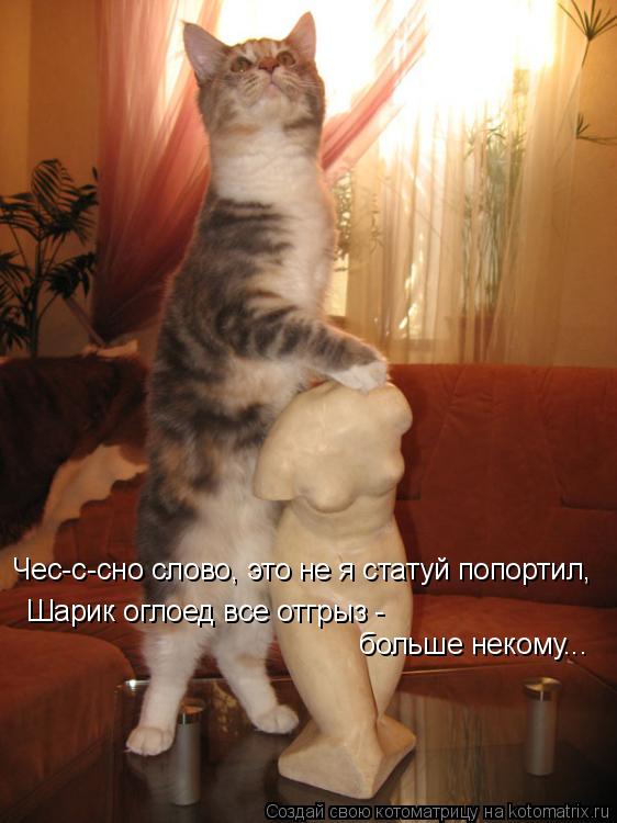 Котоматрица: Шарик оглоед все отгрыз - больше некому... Чес-с-сно слово, это не я статуй попортил,