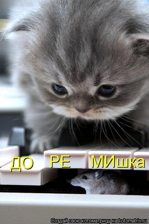 ДО РЕ МИшка... Котоматрица: ДО РЕ МИшка