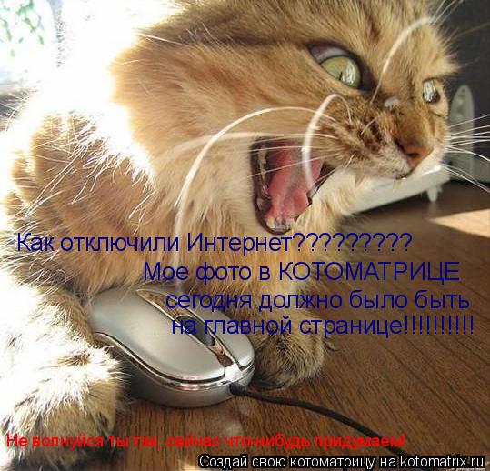 Как отключили Интернет????????? Мое фото в КОТОМАТРИЦЕ сегодня должно было быть на главной странице... Котоматрица: Как отключили Интернет????????? Мое фото в КОТОМАТРИЦЕ сегодня должно было быть на главной странице!!!!!!!!!! Не волнуйся ты так, сейчас что-нибуд