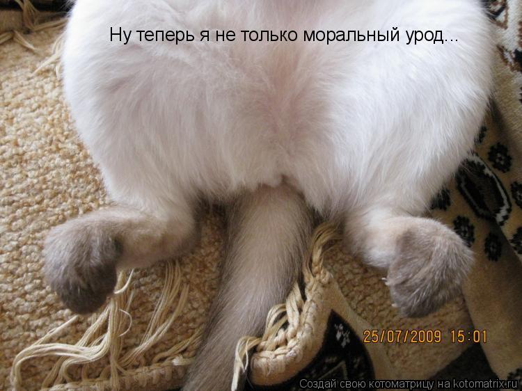 Котоматрица: Ну теперь я не только моральный урод...