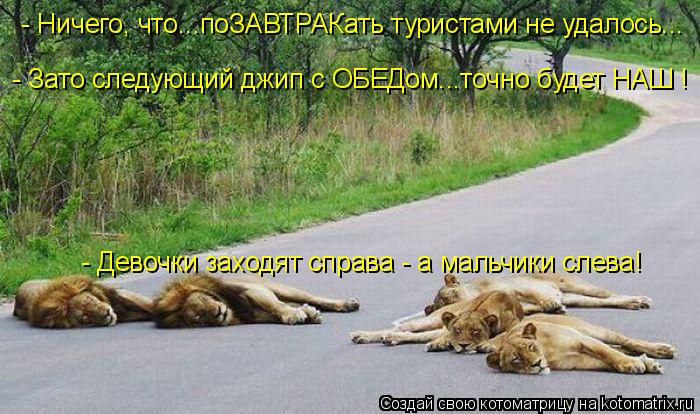 Котоматрица: - Зато следующий джип с ОБЕДом...точно будет НАШ ! - Девочки заходят справа - а мальчики слева! - Ничего, что...поЗАВТРАКать туристами не удалось