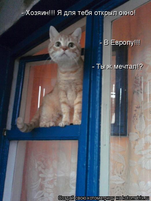 Котоматрица: - Хозяин!!! Я для тебя открыл окно! - В Европу!!! - Ты ж мечтал!?