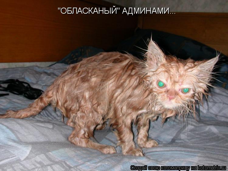 Котоматрица: "ОБЛАСКАНЫЙ" АДМИНАМИ...