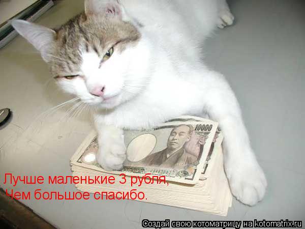 Котоматрица: Лучше маленькие 3 рубля, Чем большое спасибо.