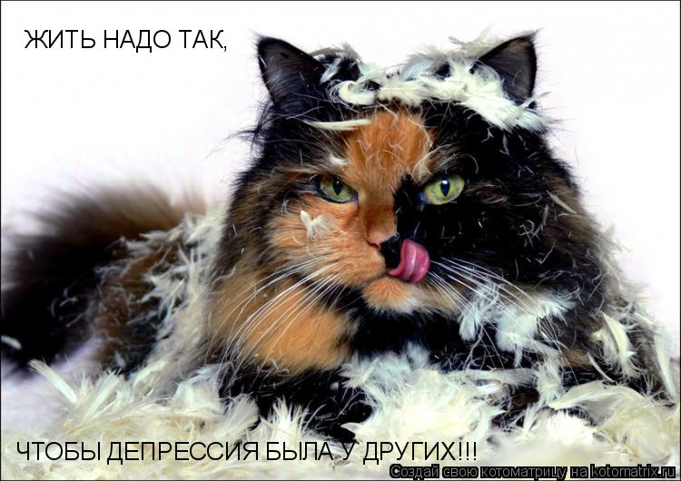 Котоматрица: ЖИТЬ НАДО ТАК, ЧТОБЫ ДЕПРЕССИЯ БЫЛА У ДРУГИХ!!!