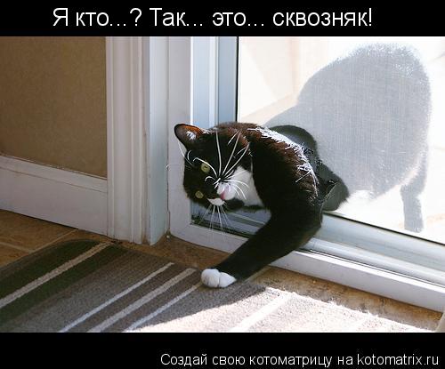 Котоматрица: Я кто...? Так... это... сквозняк!