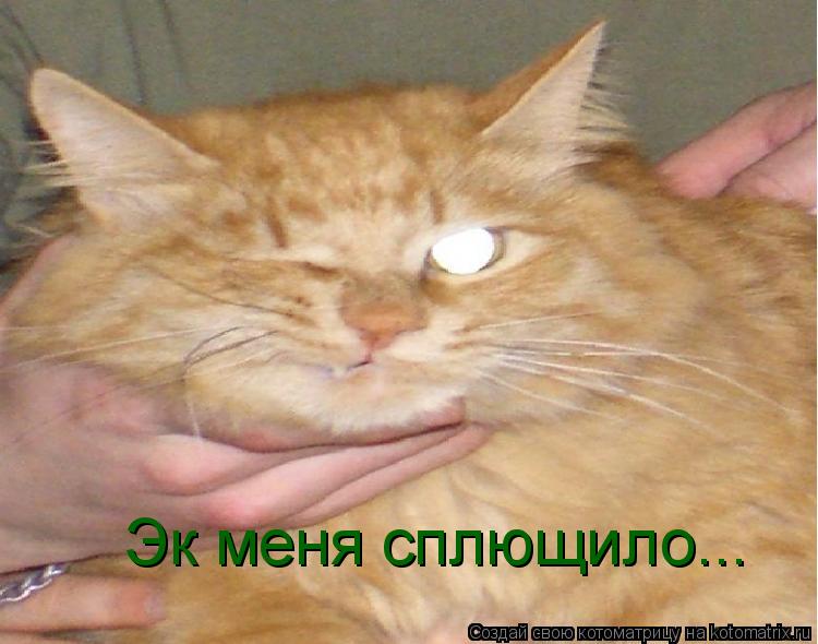 Эк меня сплющило...... Котоматрица: Эк меня сплющило...