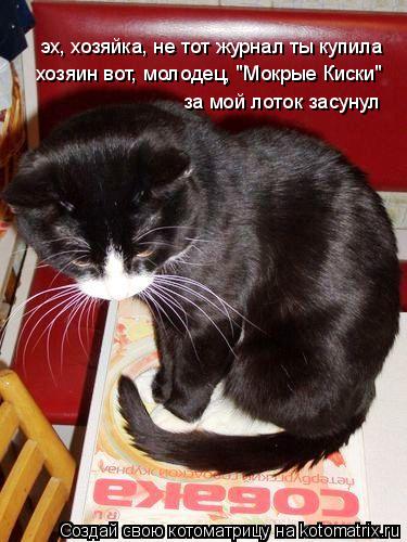 Котоматрица: мрррррр, культурная столица.... эх, хозяйка, не тот журнал ты купила хозяин вот, молодец, "Мокрые Киски" за мой лоток засунул