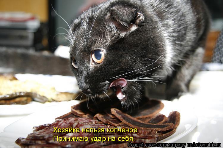 Котоматрица: Хозяйке нельзя копченое.  Принимаю удар на себя.