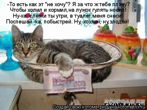 Котоматрица: -То есть как эт "не хочу"? Я за что ж тебе плачу? Чтобы холил и кормил,на лужок гулять носил! Ну-ка, слёзки ты утри, в туалет меня снеси! Поспешай 